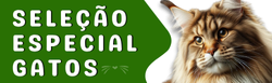 Propaganda Seleção Especial Gatos