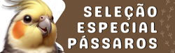 Propaganda Seleção Especial Pássaros