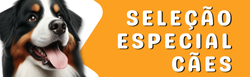 Propaganda Seleção Especial Cães