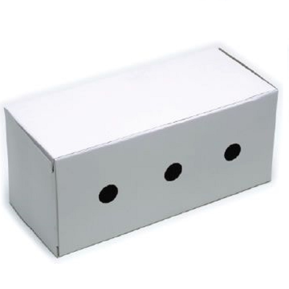 CAIXA TRANSPORTE P/ CALOPSITA