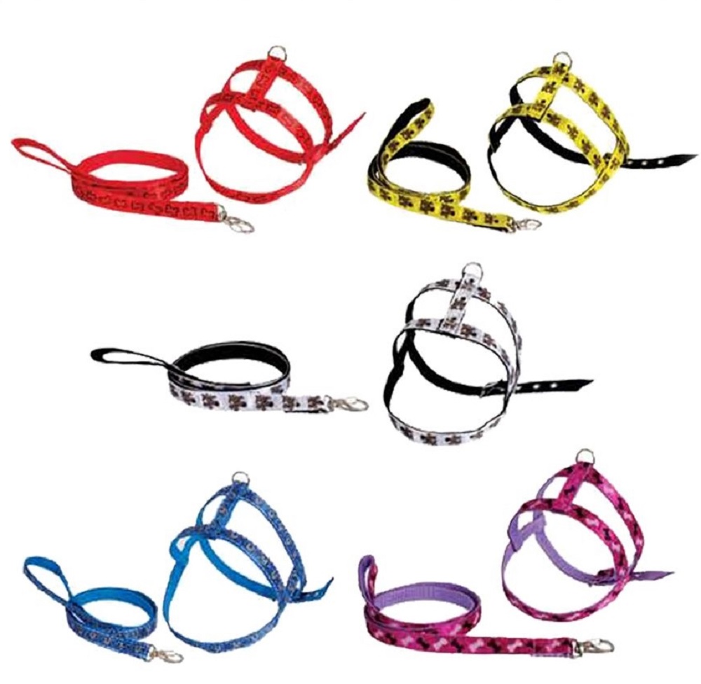 CONJ. GUIA E PEIT SEDA DECORADO Nº 01