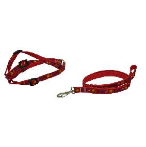 CONJ. PEIT E GUIA OSSO PATA AMERICA N1 