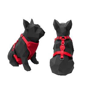 CONJ. PEITORAL E GUIA  CONFORT H G