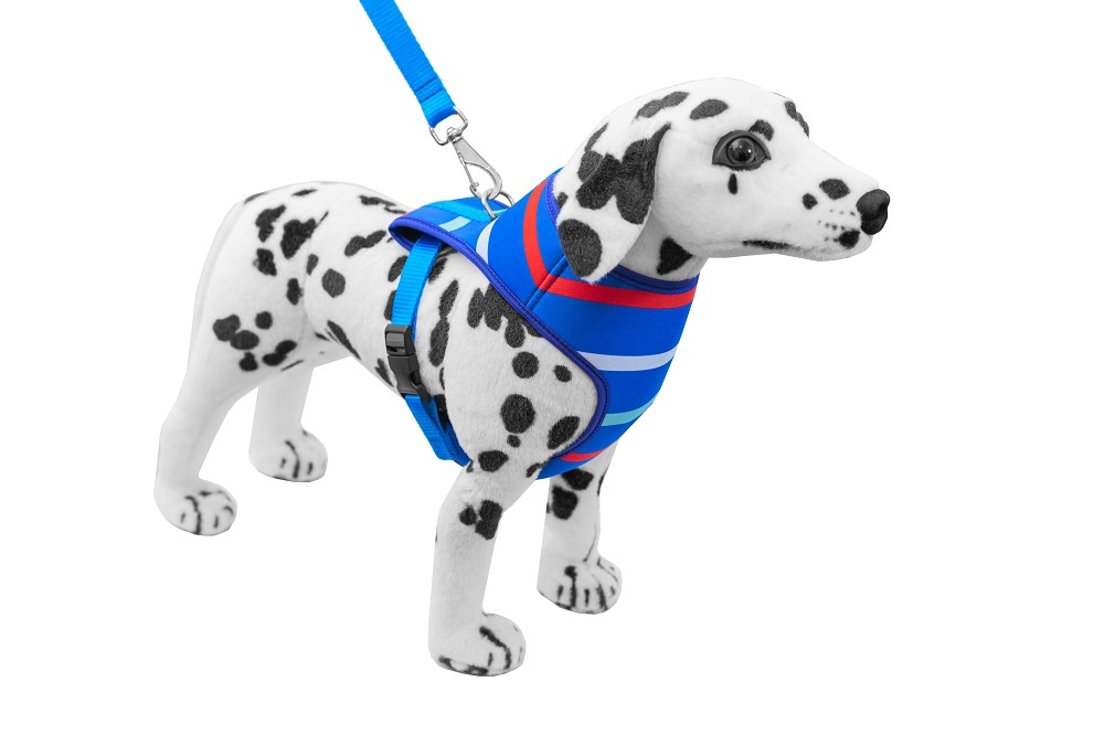 CONJ PEITORAL E GUIA NEOPRENE G