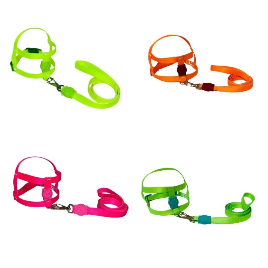 CONJ. PEITORAL E GUIA POP SEDA NEON M