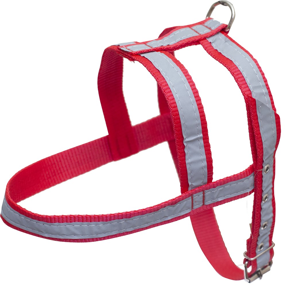 GUIA E PEITORAL REFLETIVO MEDIO PORTE G