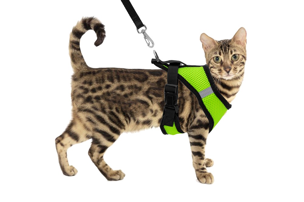 CONJ PEITORAL E GUIA CONFORT GATO