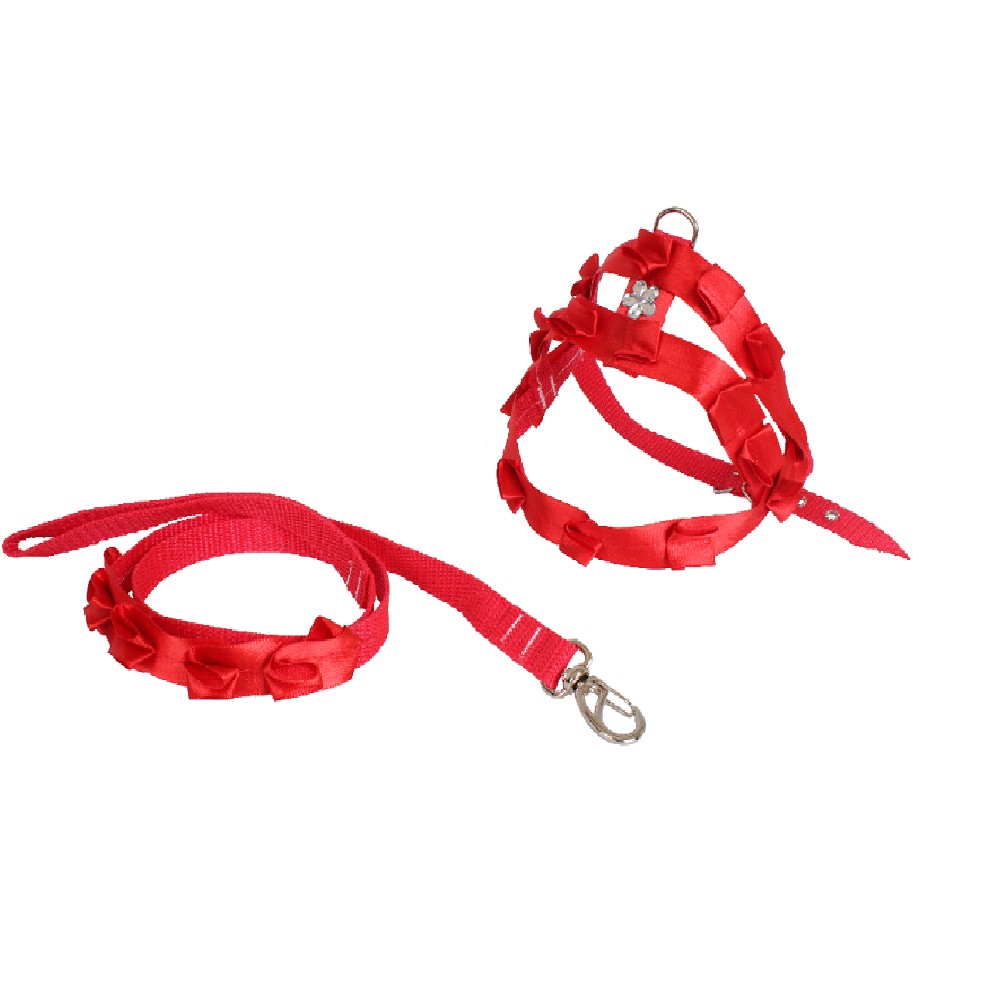 CONJ GUIA E PEIT BABADO Nº01