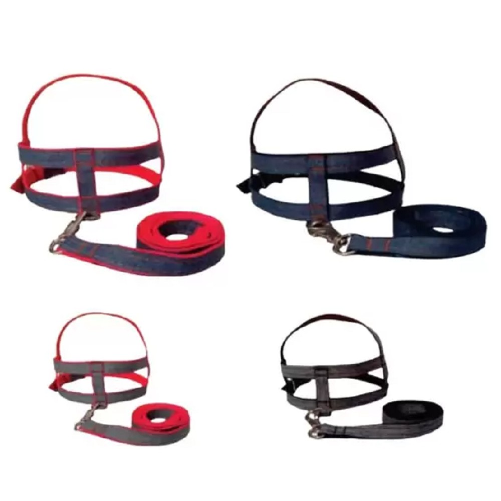 CONJ. PEITORAL E GUIA JEANS Nº2