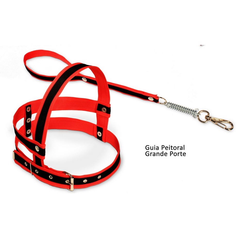 CONJ GUIA E PEIT GDE PORTE C/AMORT. Nº06