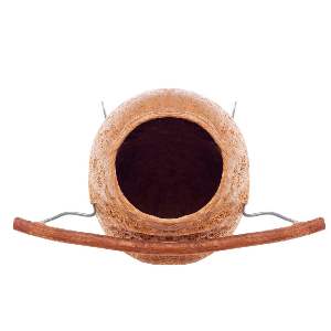 NINHO BAIANO C/ POLEIRO