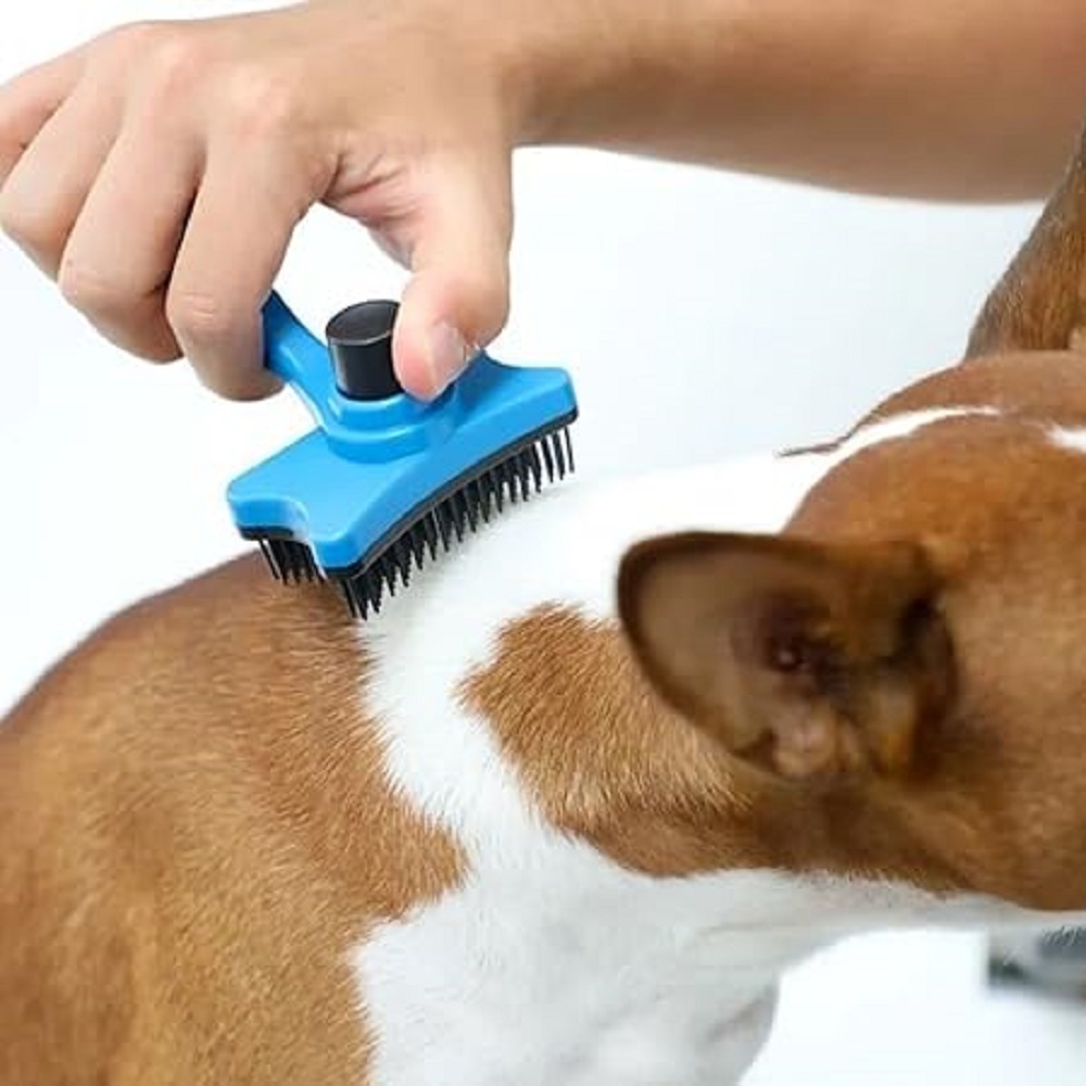 RASQUEADEIRA PRATICA MR PET