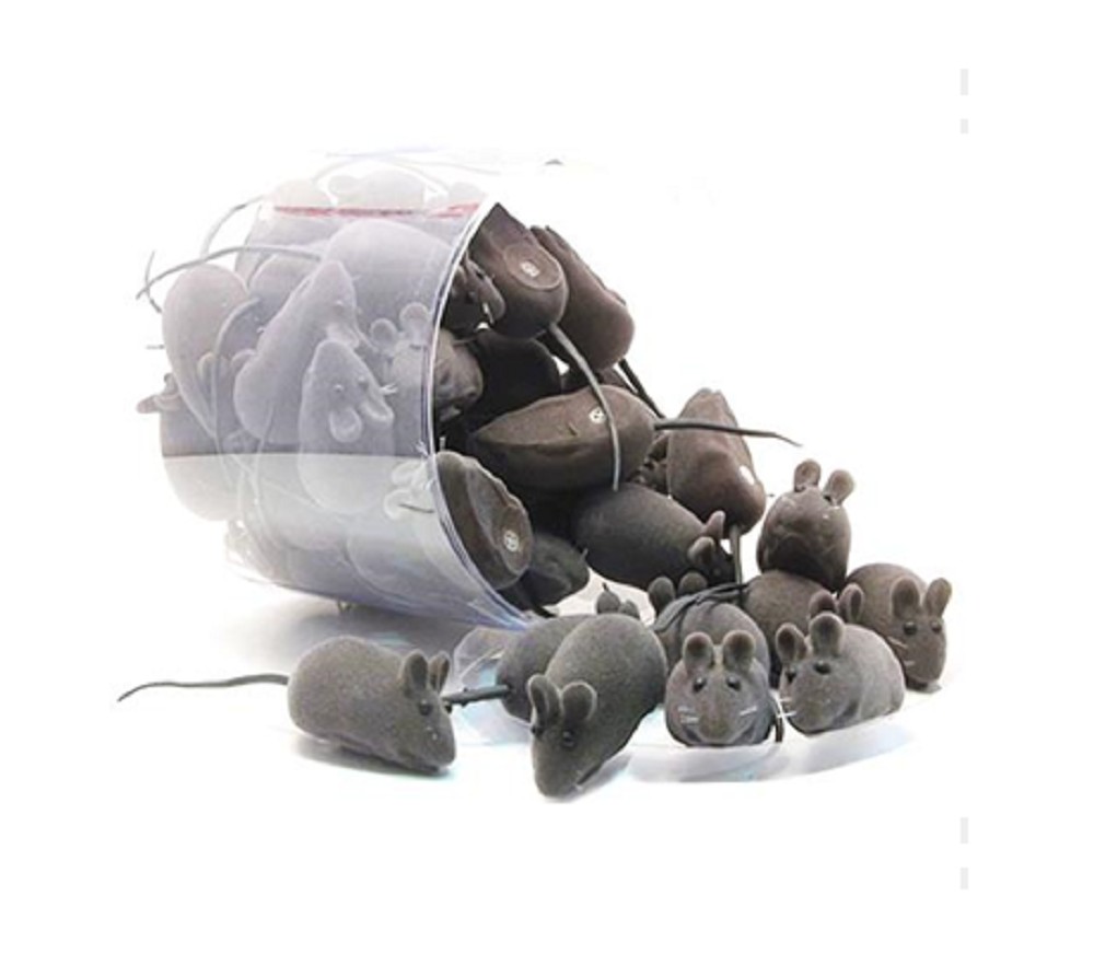 POTE DE RATINHO - 50 UN