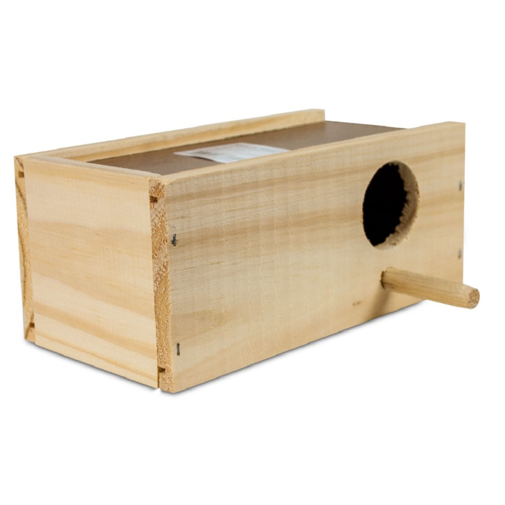 NINHO DE PERIQUITO - PINUS