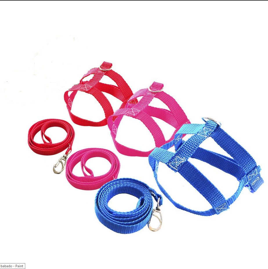 CONJ GUIA E PEIT NYLON N° 04