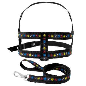 CONJ GUIA E PEIT OSSO PATINHA Nº08