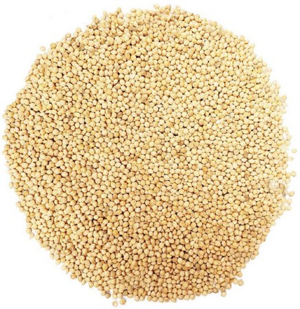 PAINCO COMUM 50KG