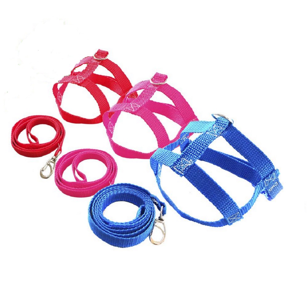 CONJ GUIA E PEIT NYLON N° 02