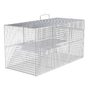 RATOEIRA GAIOLA PEGA RATO M 18X16X35